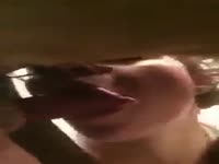 Nerd bitch sucking a big dog dick